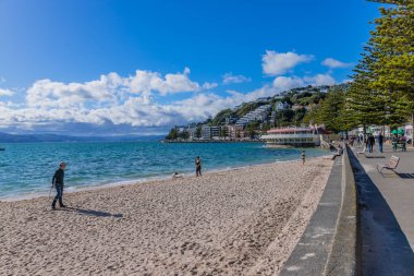 Wellington, Yeni Zelanda: Wellington, Yeni Zelanda 'daki Oriental Bay plajındaki insanlar.