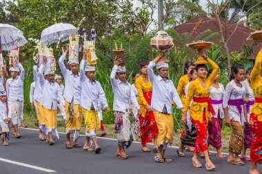 Bali, Endonezya: Kraliyet yakma töreni. Balili Hindu dini geçit töreni. Bade ve Lembu Kara Boğa cennete giden ruhun sembolü.