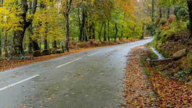 Geres Milli Parkı, Portekiz, sonbahar manzara