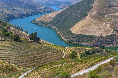 Landscape view of the beautiful douro river valley near Pinhao in Portugal