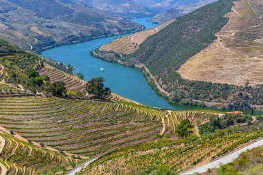 Landscape view of the beautiful douro river valley near Pinhao in Portugal