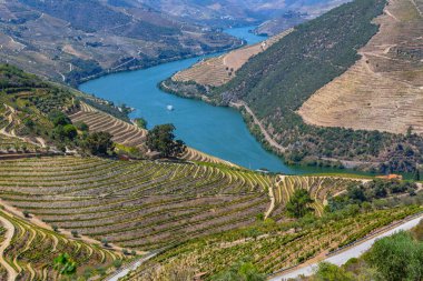 Landscape view of the beautiful douro river valley near Pinhao in Portugal