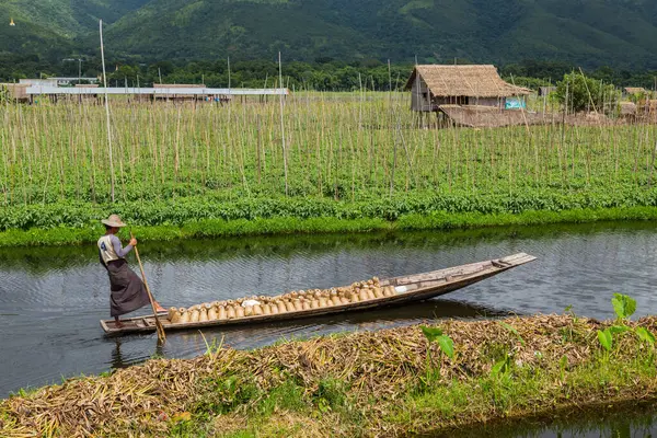 Inle Gölü. Myanmar 'daki Inle Gölü' nde balıkçı kayığı. Inle Gölü yüzen köyleri ve bahçeleriyle ünlüdür..