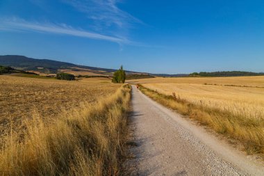 Navarre, İspanya: Seyyah Camino De Santiago boyunca yürü, St. James hac yolu, Navarra, İspanya.