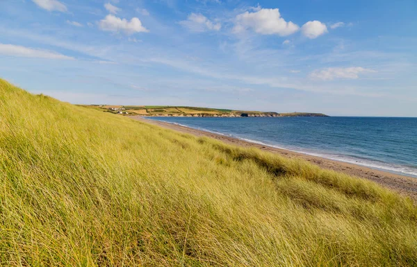 Güneşli bir bahar gününde Atlantik Okyanusu 'ndaki yeşil tepeler. Deniz kıyısında mavi gökyüzü. İrlanda kıyıları, Batı Cork.