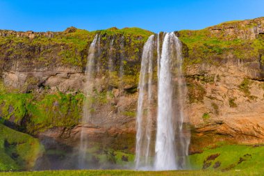 Güzel Seljalandsfoss Şelalesi Yazın güneşli bir günde İzlanda 'da yeşil çimen tarlasıyla.