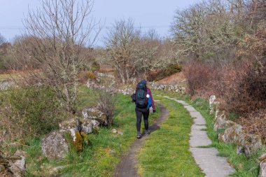 Navarre, İspanya: Seyyah Camino De Santiago boyunca yürü, St. James hac yolu, Navarre, İspanya.