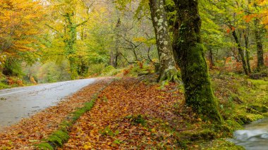 Geres Milli Parkı, Portekiz, sonbahar manzara