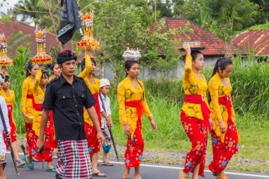 Bali, Endonezya: Kraliyet yakma töreni. Balili Hindu dini geçit töreni. Bade ve Lembu Kara Boğa cennete giden ruhun sembolü.