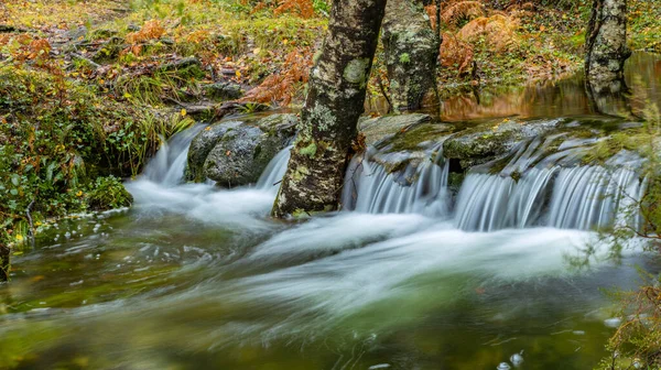 Fluss Herbst Geres Nationalpark Portugal — Stockfoto