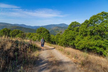 Navarre, İspanya: Seyyah Camino De Santiago boyunca yürü, St. James hac yolu, Navarra, İspanya.