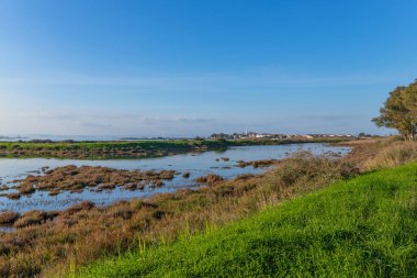 Tagus sabahı, Moita 'da, Lizbon, Portekiz yakınlarında.