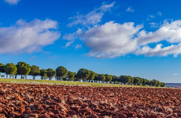 Zielone Pole Niebo Zamorze Niedaleko Puebla Sanabria Hiszpania — Zdjęcie stockowe
