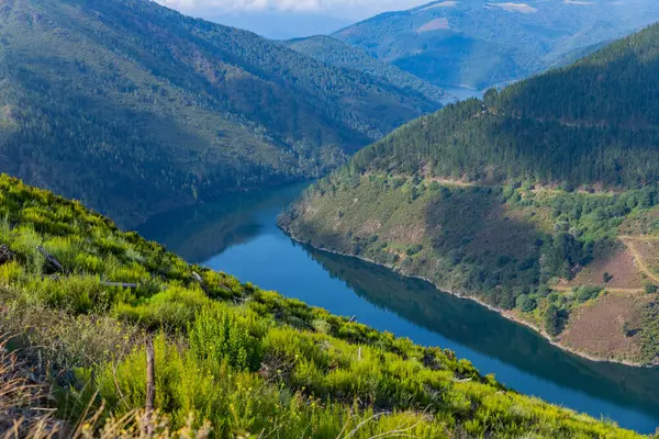 Водохранилище Рядом Гранд Салиме Красивый Пейзаж Вдоль Тропы Камино Сантьяго — стоковое фото