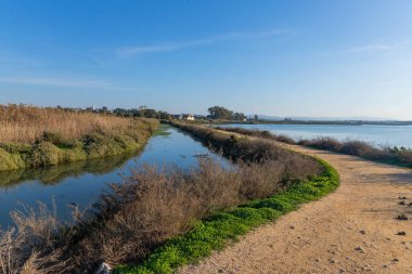 Tagus sabahı, Moita 'da, Lizbon, Portekiz yakınlarında.