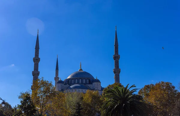 Detail Sultan Ahmed Mosque Known Blue Mosque Historic Mosque Istanbul Стоковая Картинка