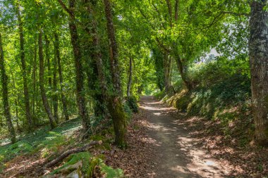 Camino de Santiago yolu boyunca uzanan manzara Grandas de Salime ve Fonsagrada, Asturias, İspanya