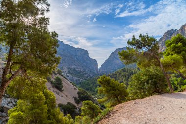 Kraliyet iz olarak da bilinen El Caminito Del Rey - dağ yolu boyunca dik kayalıklarla gorge Chorro, Endülüs, İspanya