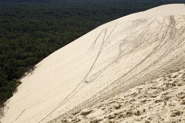 シュル メール フランスで ヨーロッパで最も高い砂丘有名な砂丘 — ストック写真