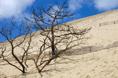 pile, Avrupa'nın en yüksek sand dune pile sur Mer, Fransa'nın ünlü dune.