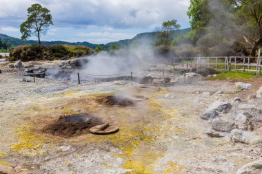 Lagoa das Furnas, Sao Miguel, Azores Adası, Portekiz 'deki kaplıcalardan ve fümerollerden gelen buhar, 