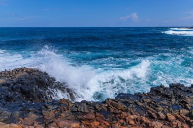 Las Palmas 'ın kıyısındaki El Confital plajı, La Isleta yarımadası. Büyük Kanarya, İspanya
