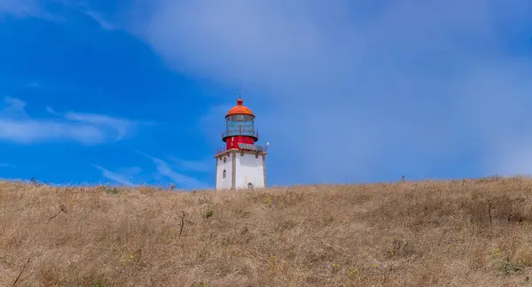 stock image Berlenga Lighthouse, in the natural reserve of the Berlengas archipelago, near Peniche. Portugal