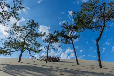 Pilat Kumulu, Avrupa 'nın en uzun kum tepesi. Arcachon Körfezi. Aquitaine, Fransa