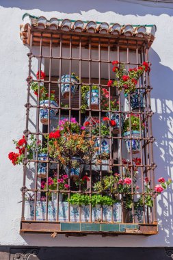 Albaisin, Albayzin, Granada, İspanya rendelenmiş bir pencereye saksı çiçekleri.