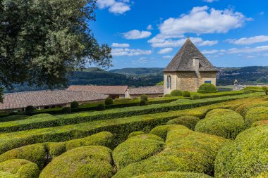 Dordogne, Fransa: Fransa 'nın Dordogne bölgesindeki Jardins de Marqueyssac bahçesinde tespih kuşu