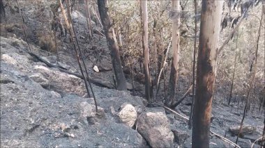 Peneda Geres Ulusal Parkı yakınlarındaki tepelerde yangın çıktı. Kuzey Portekiz.