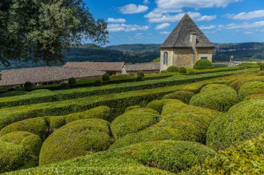 Dordogne, Fransa: Fransa 'nın Dordogne bölgesindeki Jardins de Marqueyssac bahçesinde tespih kuşu