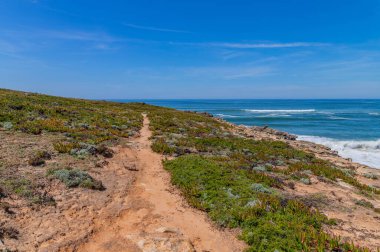 Okyanus dalgaları ve Lizbon yakınlarındaki Ericeira 'daki muhteşem kayalık sahil manzarası. Portekiz