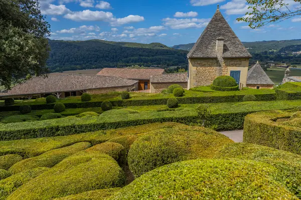 Dordogne, Fransa: Fransa 'nın Dordogne bölgesindeki Jardins de Marqueyssac bahçesinde tespih kuşu