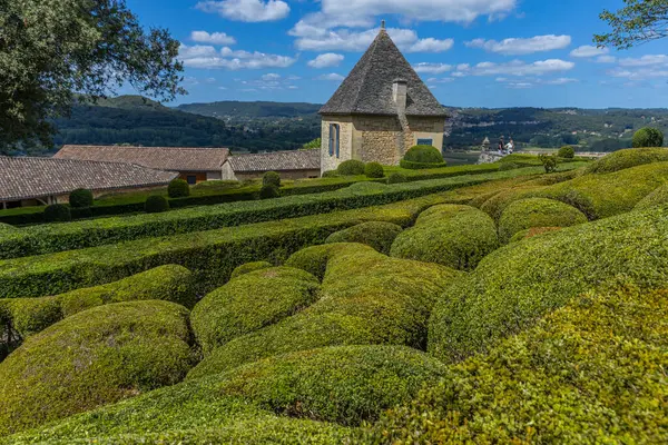 Dordogne, Fransa: Fransa 'nın Dordogne bölgesindeki Jardins de Marqueyssac bahçesinde tespih kuşu