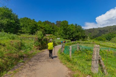 Galiçya, İspanya: Galiçya 'daki Variante Espiritüelleri do Caminho de Santiago yolunda yürüyen insanlar (Saint James Way, Spiritüel Variant).