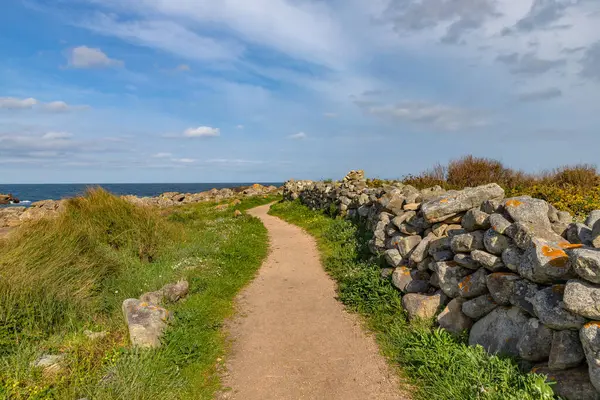 Camino de Santiago 'nun ruhani varyantı denizle çevrili manzaralı bir yol içerir. Galiçya, İspanya