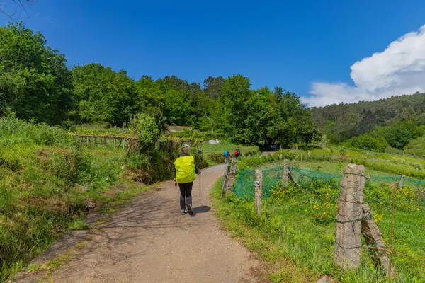 Galiçya, İspanya: Galiçya 'daki Variante Espiritüelleri do Caminho de Santiago yolunda yürüyen insanlar (Saint James Way, Spiritüel Variant).