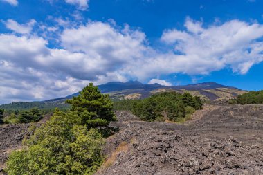 Pitoresk volkanik manzara Mount Etna, Etna Milli Parkı, Sicilya, İtalya