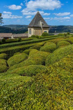 Dordogne, Fransa: Fransa 'nın Dordogne bölgesindeki Jardins de Marqueyssac bahçesinde tespih kuşu