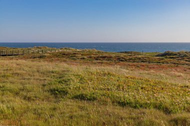 Apulia, Esposende 'deki sahil kumulları, çimenli bitki örtüsü ve Atlantik Okyanusu, Portekiz