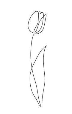 Güzel lale çiçeği. Çizgi sanatı konsepti. Devamlı çizgi çizimi. Şekil verilmiş çiçek sembolü. Vektör illüstrasyonu