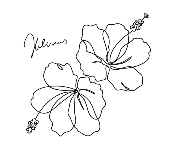 Beautiful Hibiscus Flower Pattern Line Art Concept Design Continuous Line — Stock Vector