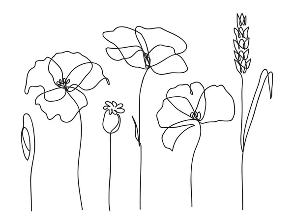 Zestaw Kwiatów Poppy Uszy Ciągły Rysunek Koncepcja Sztuki Liniowej Stylowy — Wektor stockowy