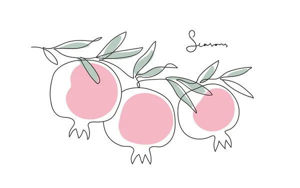 Branch Pomegranates Leaves Shana Tova Modern Single Line Art Drawing Stock Vector