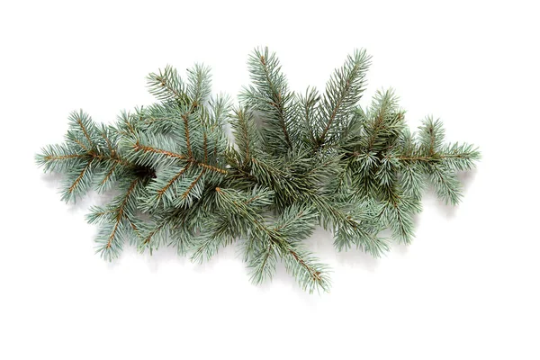 白い背景に隔絶されたモミの枝でクリスマスの装飾 — ストック写真
