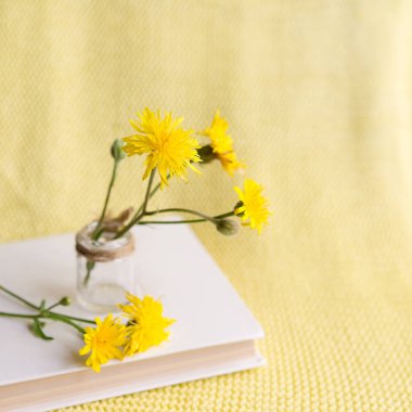 yellow flower in a white book on a yellow knitted background