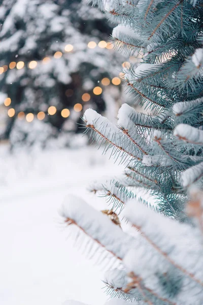 Işıklı Noel Ağacına Yakın Çekim Kar Taneciği Noel Yeni Yıl — Stok fotoğraf