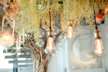 light bulb on the ceiling surrounded by decor