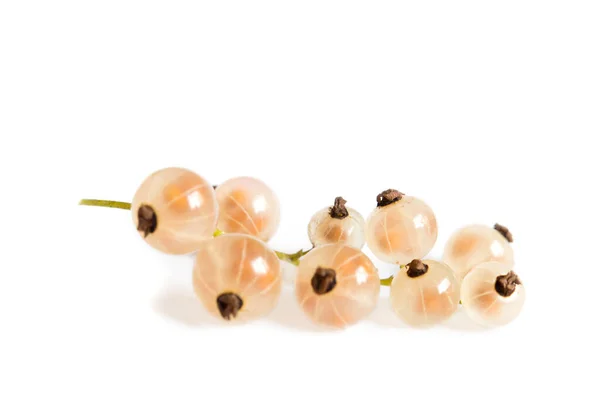 Vinbär Ribes Rubrum White Grape Vit Bakgrund — Stockfoto